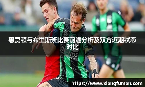 惠灵顿与布里斯班比赛前瞻分析及双方近期状态对比